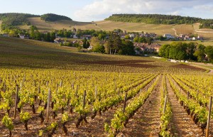 Borgogna, Chablis e Grand Auxerrois