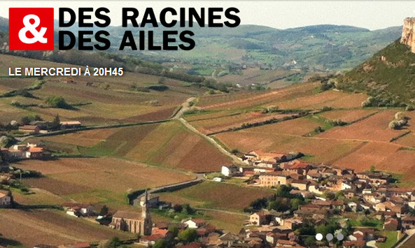 Radici e ali in Borgogna
