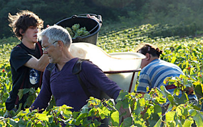 Rückblick auf die Ernte 2013