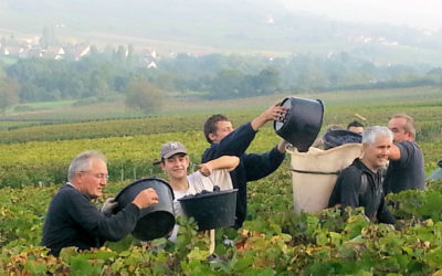 Im Herzen der Ernte 2013
