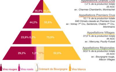 Vino di Borgogna: come orientarsi?