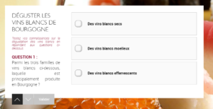 Formazione online gratuita per diventare un esperto di vini della Borgogna