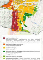 La denominazione Gevrey Chambertin in Côte de Nuits