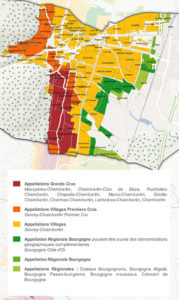 La denominazione Gevrey Chambertin in Côte de Nuits
