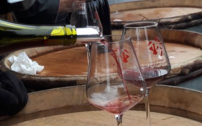 Che vino di Borgogna sei? Fai il test