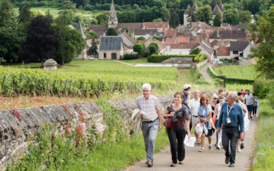 Climats Month: 3 attività insolite alla scoperta dei vigneti della Borgogna