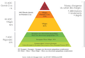 denominazioni della gerarchia della Borgogna